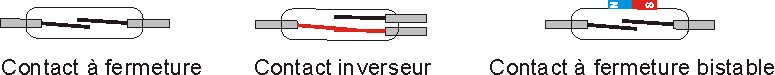 Versions à contact Reed